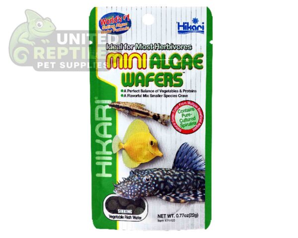 abstract hexagonal shape with lizard inside Hikari Tropical MINI ALGAE WAFERS