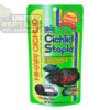 Hikari Cichlid Cichlid Staple