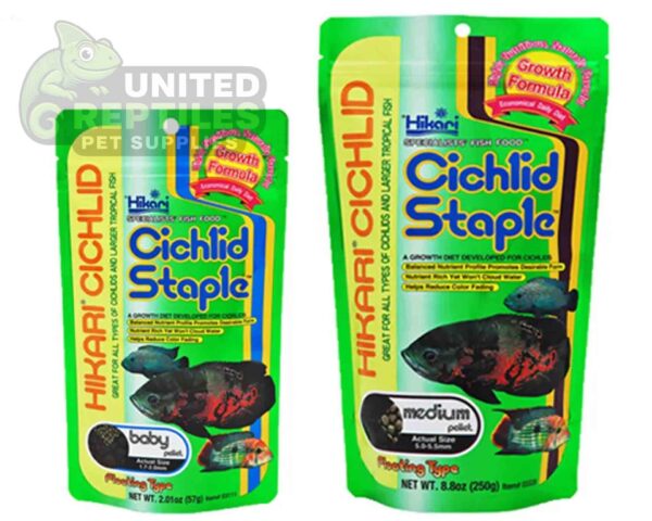 Hikari Cichlid Cichlid Staple