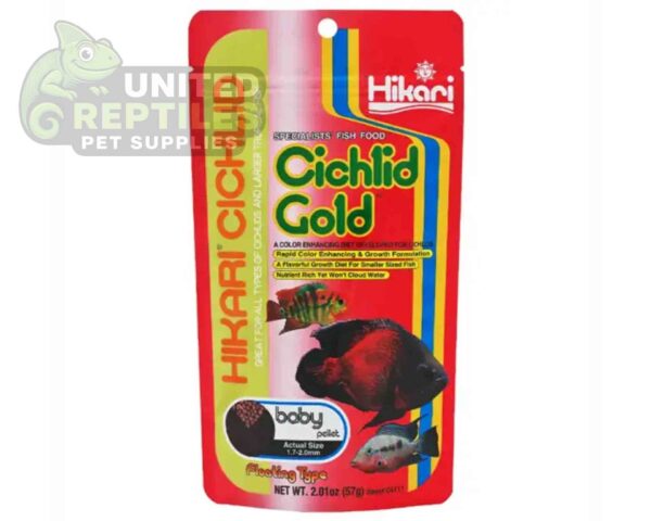 Hikari Cichlid Cichlid Gold
