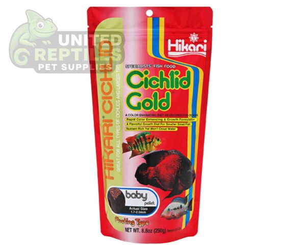 Hikari Cichlid Cichlid Gold