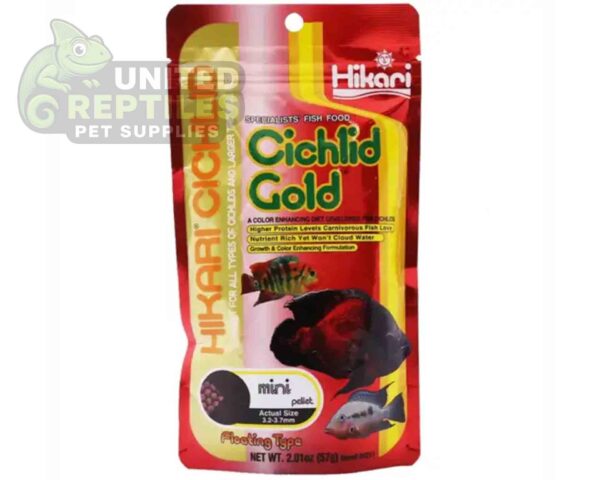 Hikari Cichlid Cichlid Gold