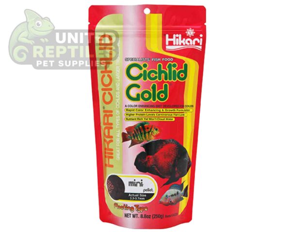 Hikari Cichlid Cichlid Gold