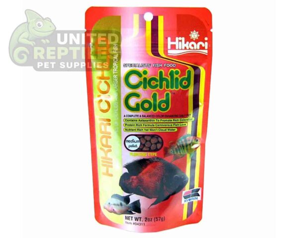 Hikari Cichlid Cichlid Gold