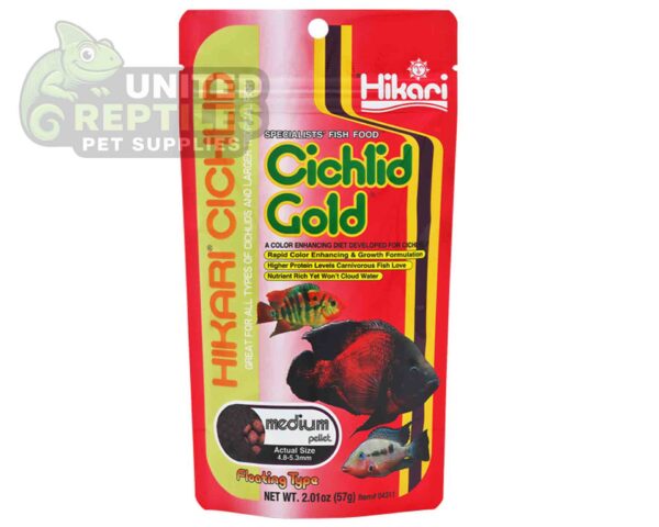 Hikari Cichlid Cichlid Gold
