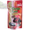 Hikari Cichlid Cichlid Gold