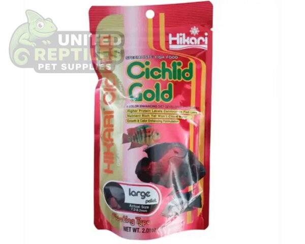 Hikari Cichlid Cichlid Gold