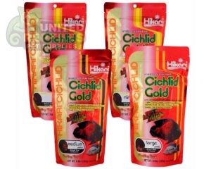 abstract hexagonal shape with lizard inside Hikari Cichlid Cichlid Gold