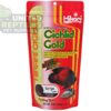 Hikari Cichlid Cichlid Gold