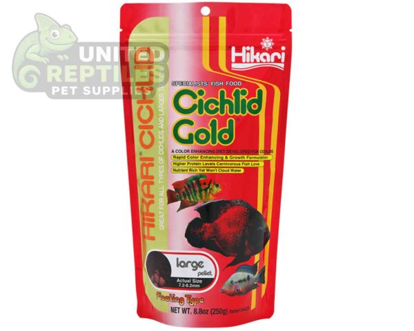 Hikari Cichlid Cichlid Gold