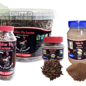 Black Soldier Fly Larvae Bottled