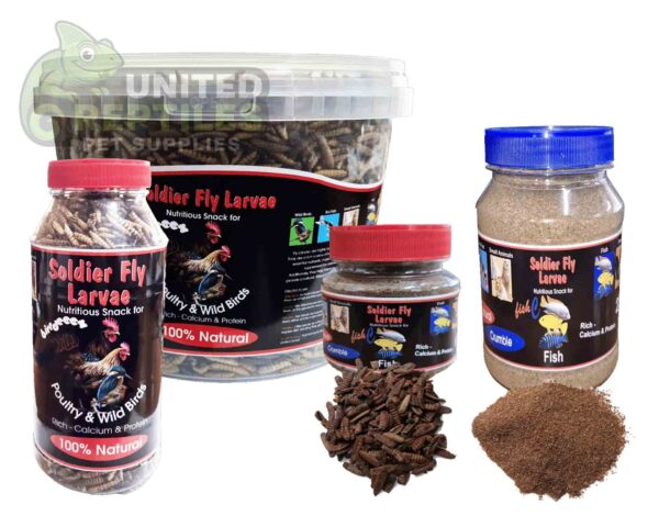 Black Soldier Fly Larvae Bottled