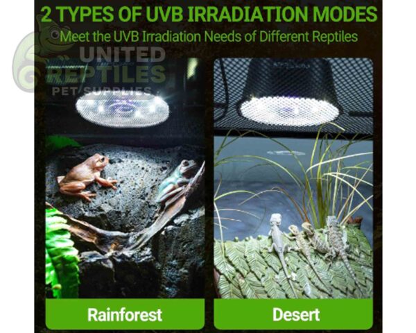 abstract hexagonal shape with lizard inside RZ REPTI LOW PROFILE UVB LED - LED012