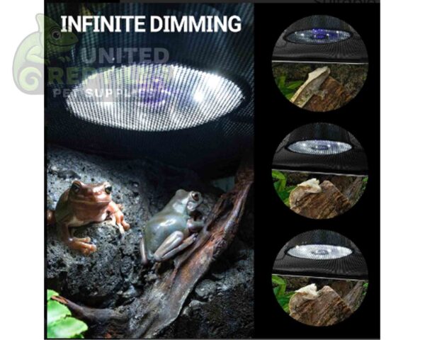 abstract hexagonal shape with lizard inside RZ REPTI LOW PROFILE UVB LED - LED012