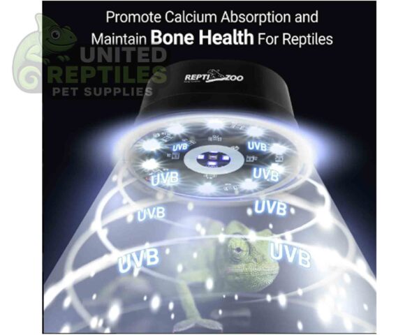 abstract hexagonal shape with lizard inside RZ REPTI LOW PROFILE UVB LED - LED012