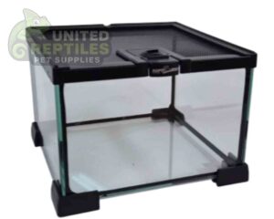 RZ Mini Glass Terrarium - 21x21x15cm / AK01B