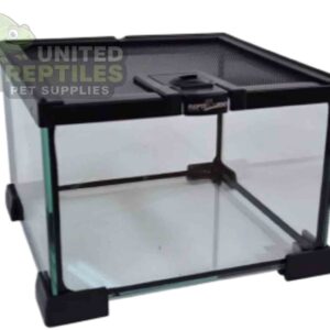 RZ Mini Glass Terrarium - 21x21x15cm / AK01B