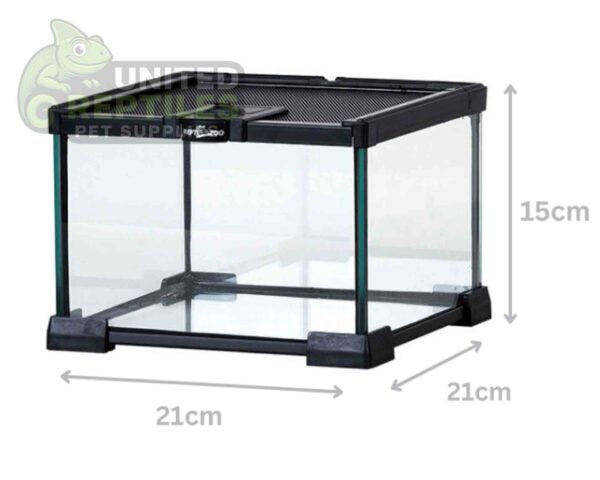 RZ Mini Glass Terrarium - 21x21x15cm / AK01B