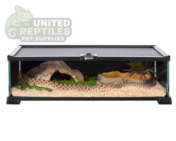 abstract hexagonal shape with lizard inside RZ Mini Glass Terrarium - 50.8x30.5x15.2cm / AK08S