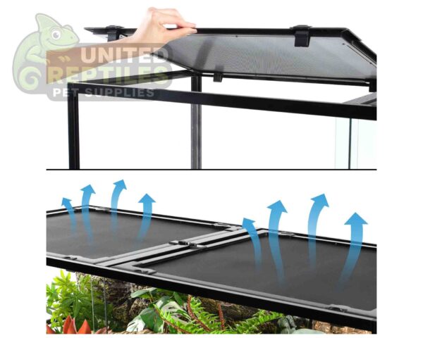 abstract hexagonal shape with lizard inside RZ REPTI GLASS TERRARIUM 120x45x60cm