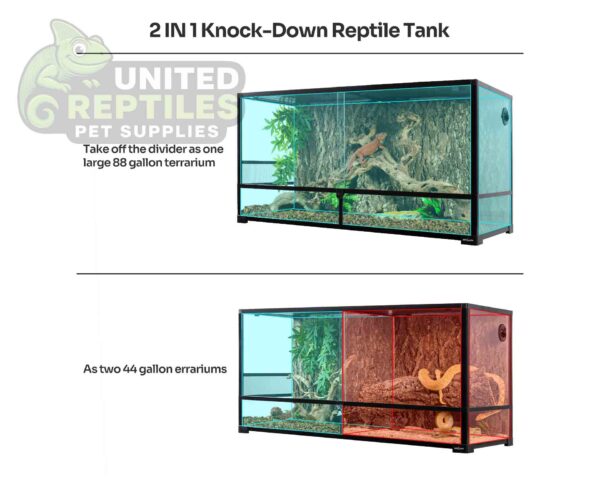 abstract hexagonal shape with lizard inside RZ REPTI GLASS TERRARIUM 120x45x60cm