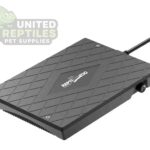 abstract hexagonal shape with lizard inside