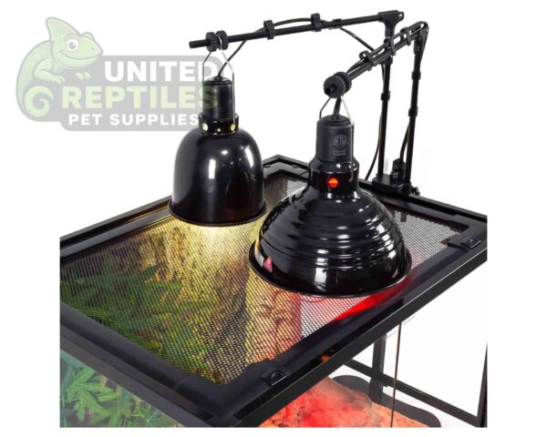 abstract hexagonal shape with lizard inside RZ Dual Lamp Stand 2 in 1 - LH009D