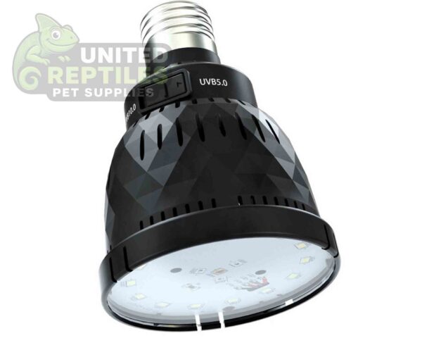 abstract hexagonal shape with lizard inside RZ DESERT / TROPICAL UVB BULB 5W - LEDU04