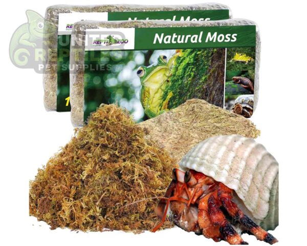 abstract hexagonal shape with lizard inside RZ REPTI NATURAL MOSS - 100g - SB032 (Approximately 4.5L)