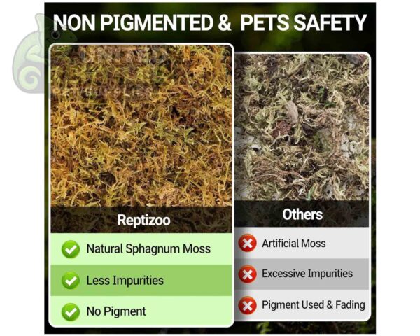 abstract hexagonal shape with lizard inside RZ REPTI NATURAL MOSS - 100g - SB032 (Approximately 4.5L)