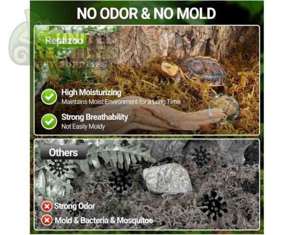 abstract hexagonal shape with lizard inside RZ REPTI NATURAL MOSS - 100g - SB032 (Approximately 4.5L)