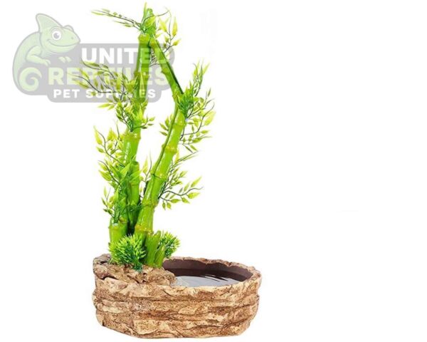 RZ 2 in 1 BAMBOO PLANT DRIPPER - DF05