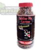 Black Soldier Fly Larvae Bottled