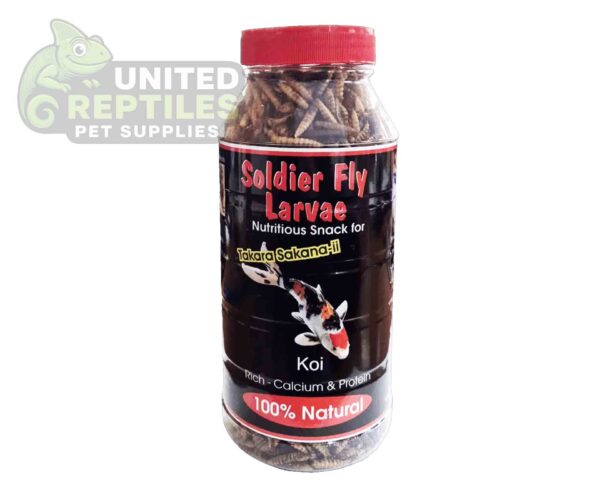 Black Soldier Fly Larvae Bottled