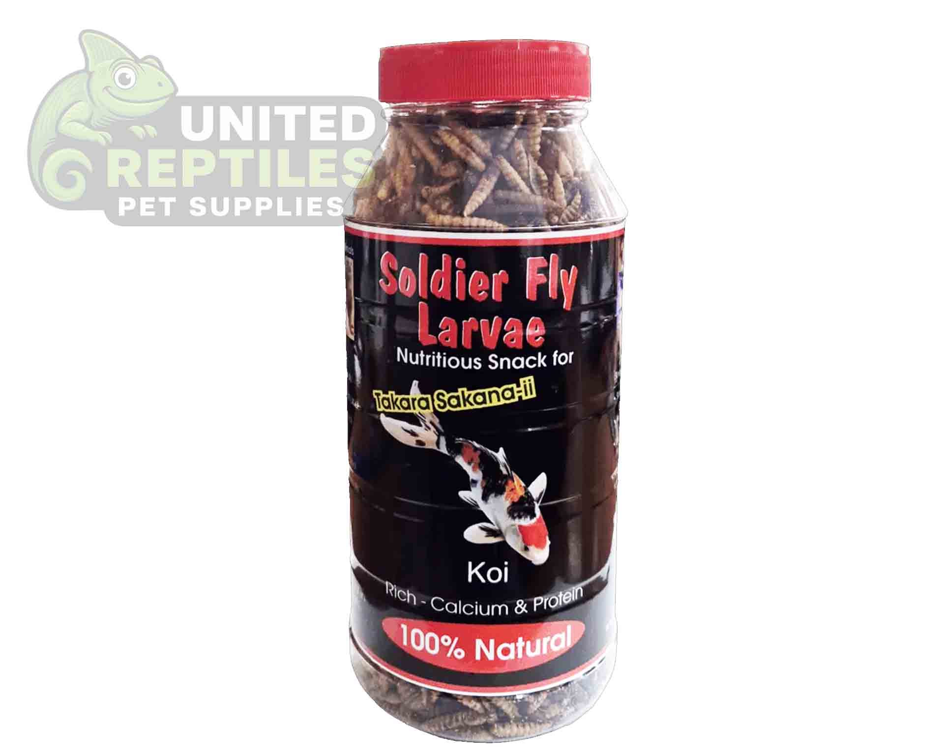 Black Soldier Fly Larvae Bottled - Image 2