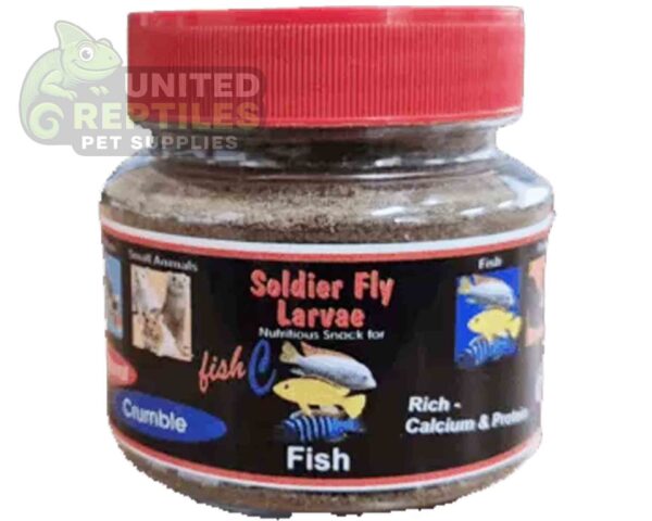 Black Soldier Fly Larvae Bottled
