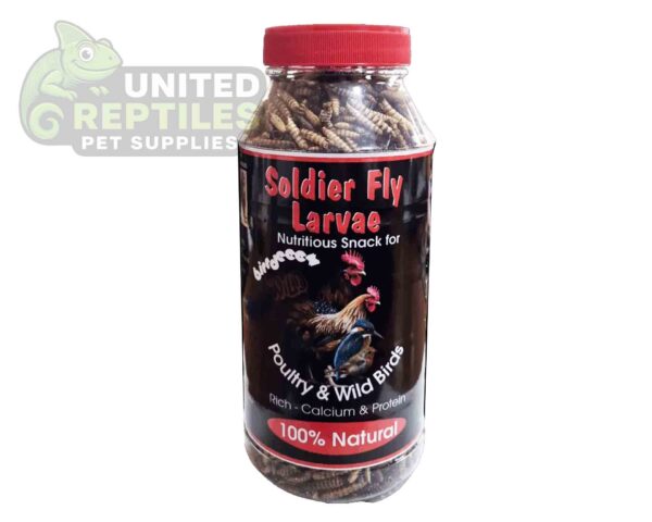 Black Soldier Fly Larvae Bottled
