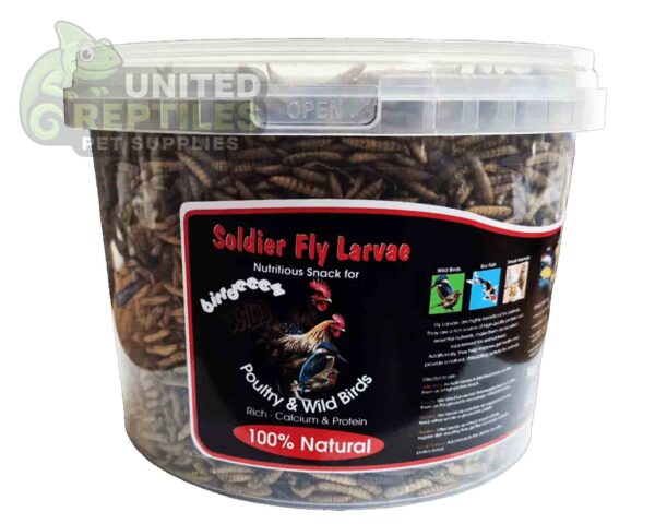 Black Soldier Fly Larvae Bottled