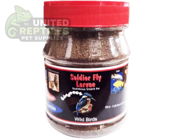 Black Soldier Fly Larvae Bottled