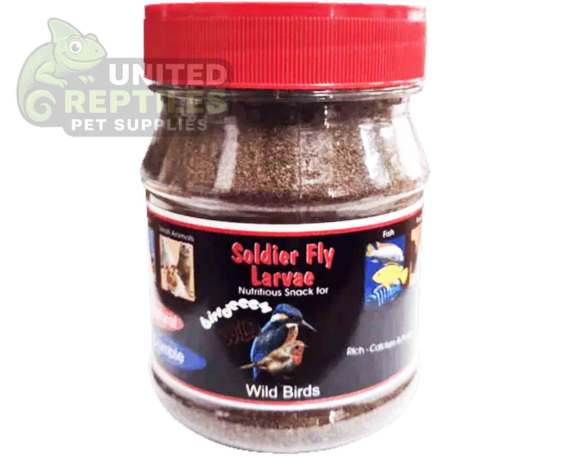 Black Soldier Fly Larvae Bottled - Image 7