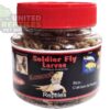 Black Soldier Fly Larvae Bottled