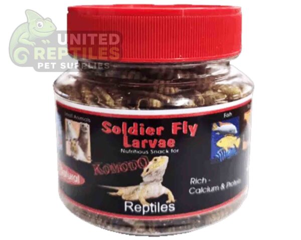 Black Soldier Fly Larvae Bottled