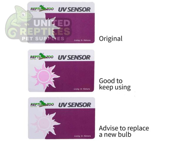 REPTI ZOO UV SENSOR TESTER CARD – 2/pack