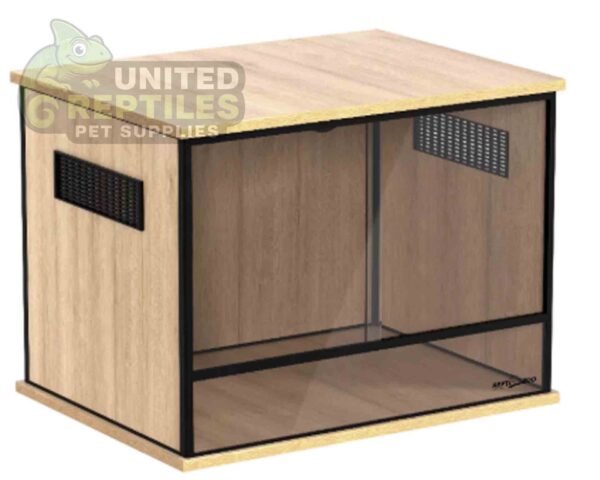 abstract hexagonal shape with lizard inside RZ WOOD / GLASS VIVARIUM – 60x45x45cm