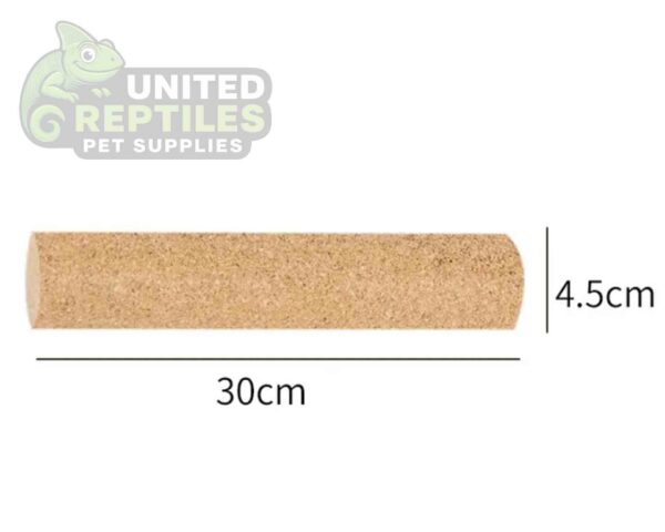 abstract hexagonal shape with lizard inside Mclanzoo Cork Tube