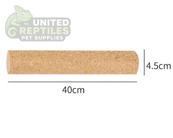 abstract hexagonal shape with lizard inside Mclanzoo Cork Tube