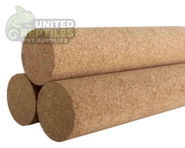 abstract hexagonal shape with lizard inside Mclanzoo Cork Tube