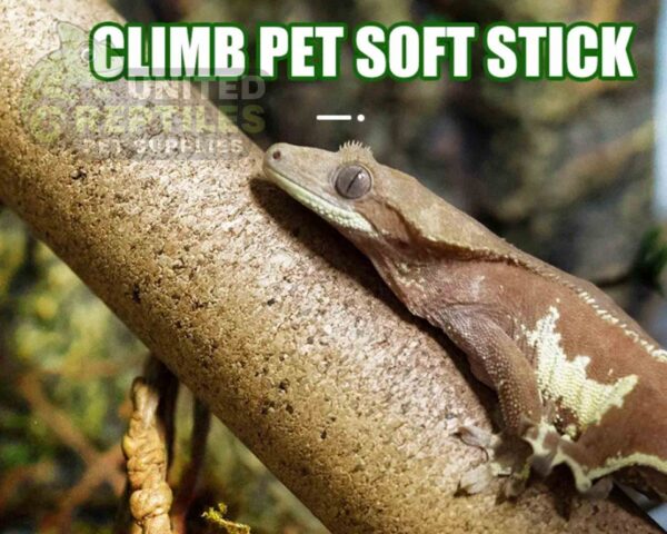 abstract hexagonal shape with lizard inside Mclanzoo Cork Tube