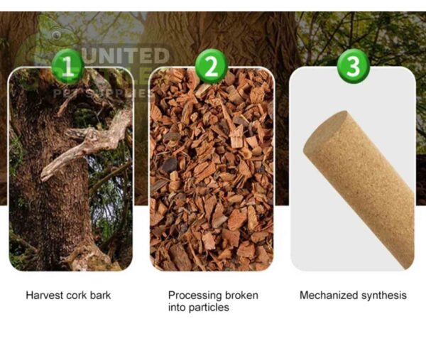 abstract hexagonal shape with lizard inside Mclanzoo Cork Tube