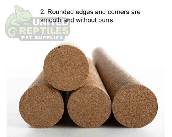 abstract hexagonal shape with lizard inside Mclanzoo Cork Tube